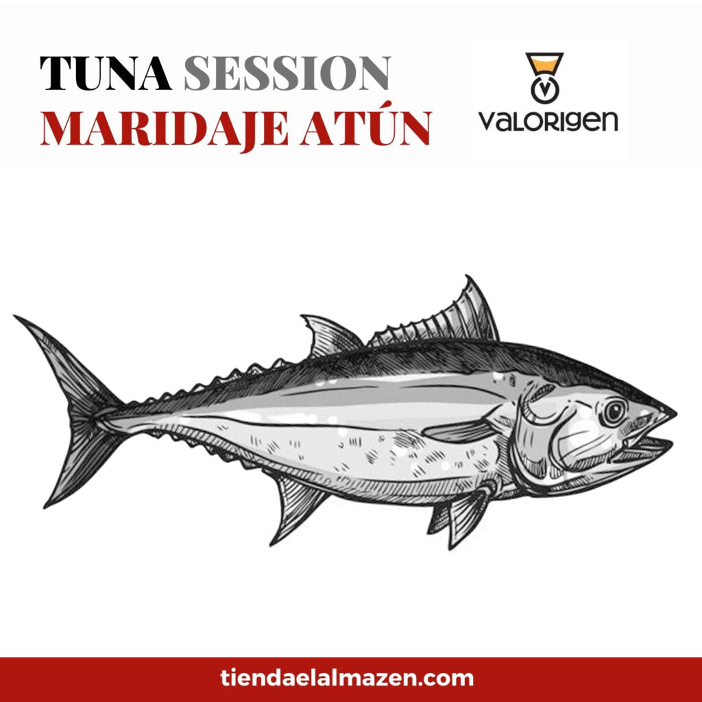 Tuna Session 1